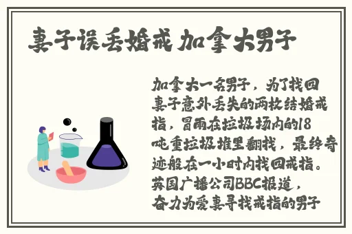 91视频网页版免费